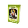 HENNA RADHE SHYAM y AMLA ECO