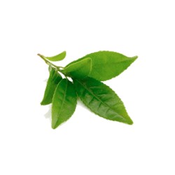 SALES DE BAÑO PERFUMADAS