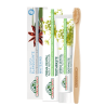 CREMA DENTAL Corpore Sano