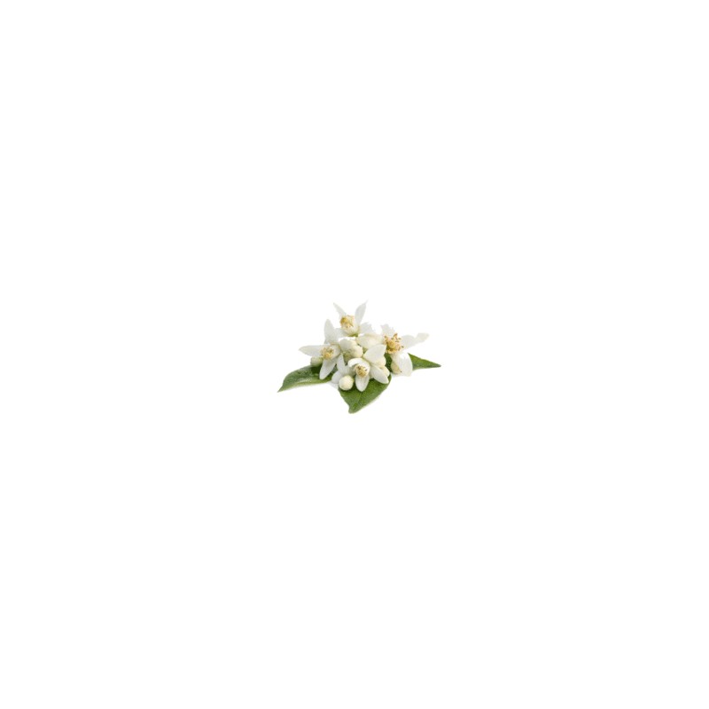 AGUAS FLORALES: azahar, hamamelis, lavanda, rosas