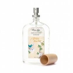 AMBIENTADOR SPRAY