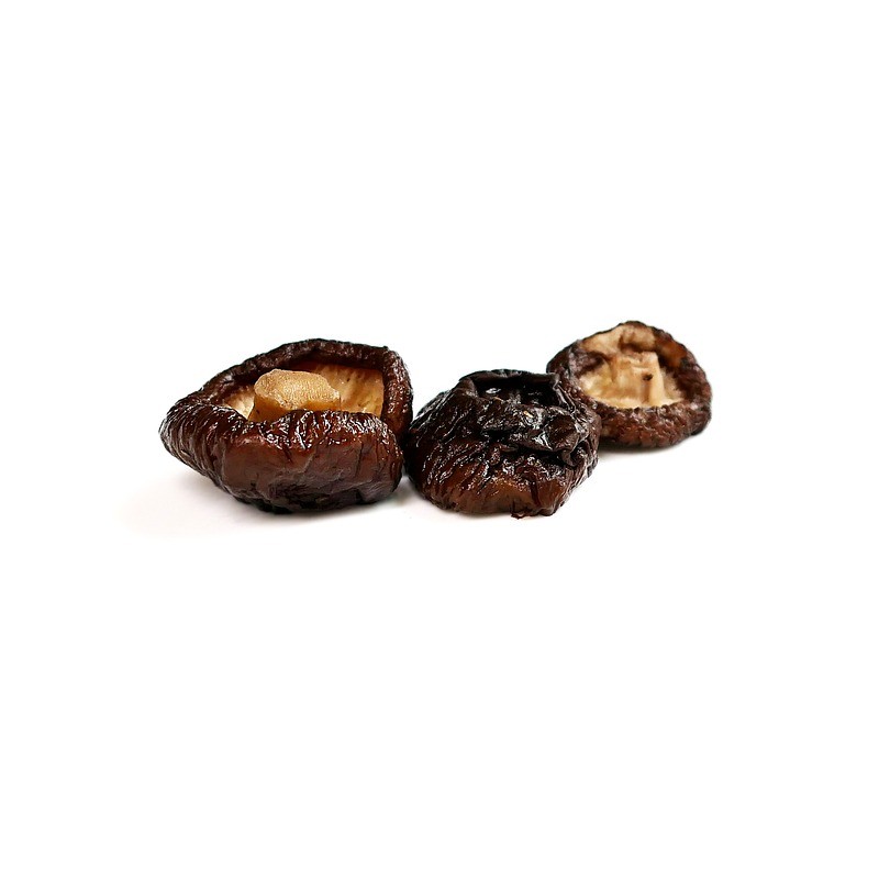 SHIITAKE en polvo bio