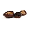 SHIITAKE en polvo bio