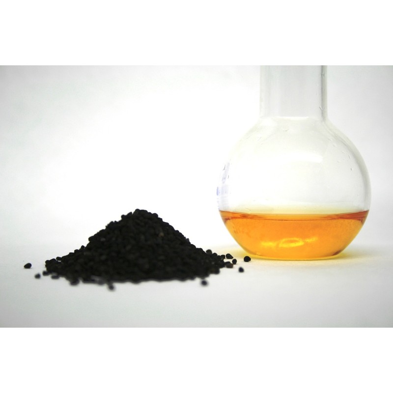 COMINO NEGRO semillas ecológico