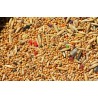 HARINA de CEREALES