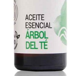 ACEITE ESENCIAL ÁRBOL DEL TÉ
