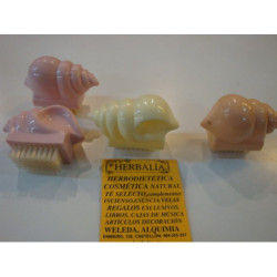 CEPILLO UÑAS CARACOLA