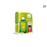 PACK ANTICELULITICO ACEITE ABEDUL +CELULICUP regalo