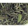 TÉ BLANCO PAI MU TAN