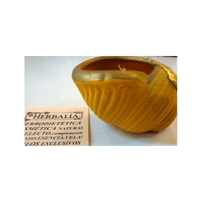 VELA TERRACOTA CARACOLA jabones y perlas