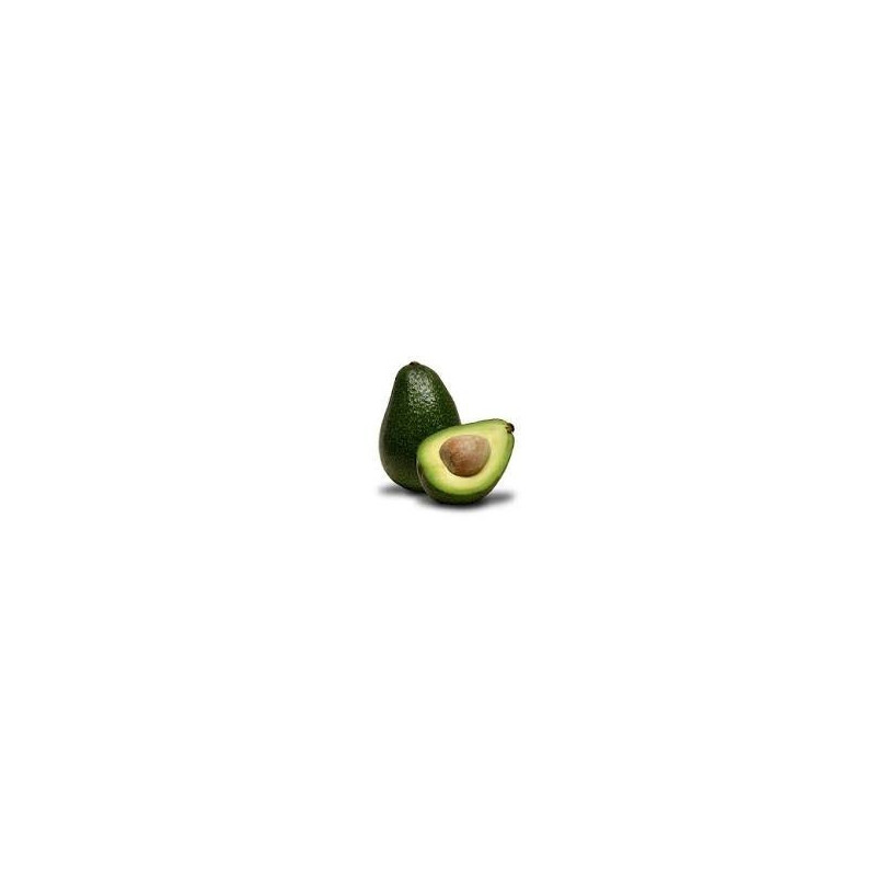 ACEITE DE AGUACATE