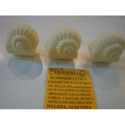CEPILLO UÑAS CONCHA MARFIL