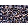 ACEITE ESENCIAL CLAVO BIO